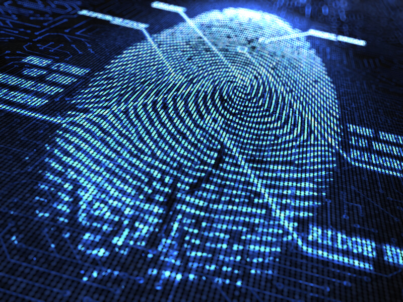 Fingerprint Analysis