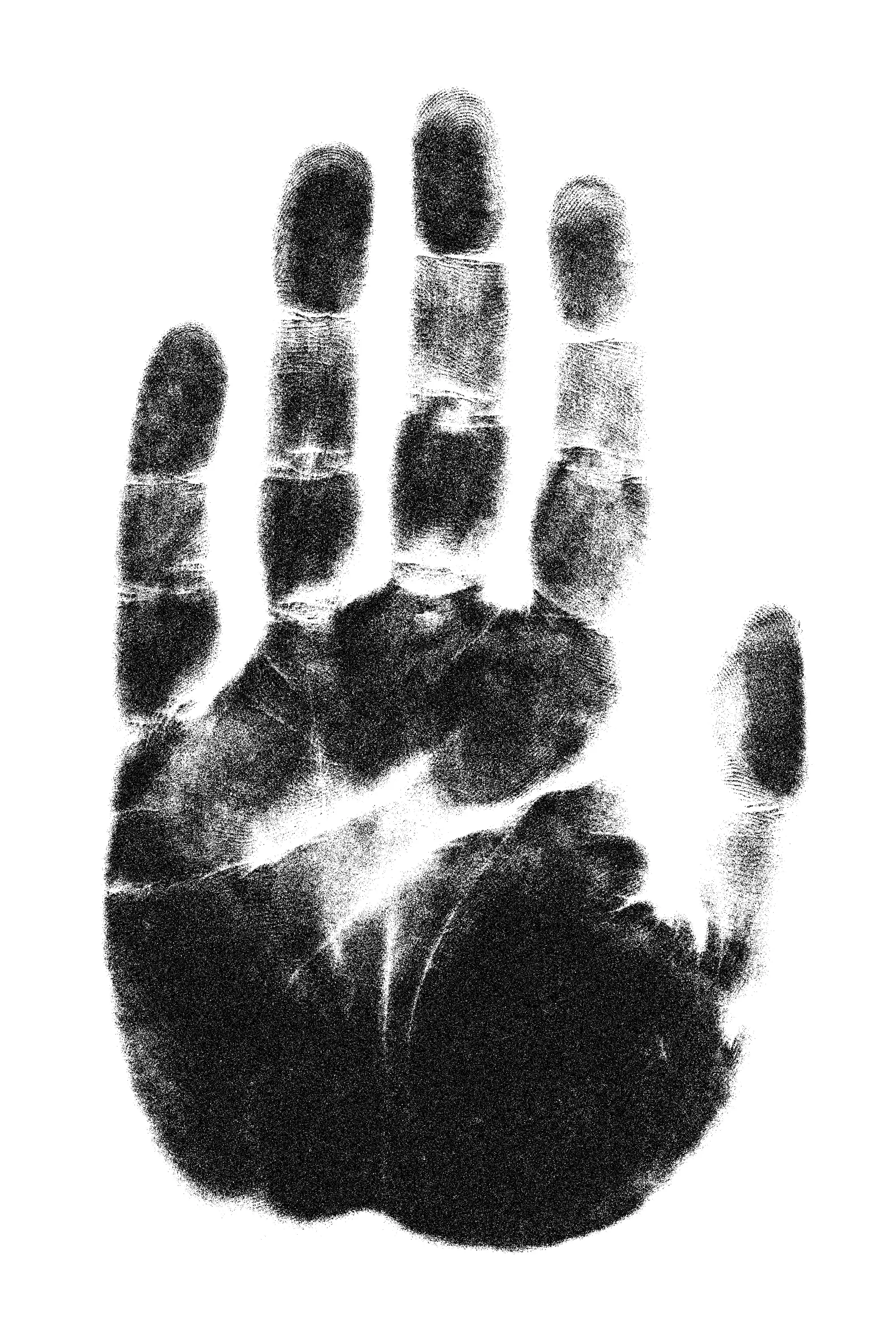 History of fingerprint evidence in forensic investigations