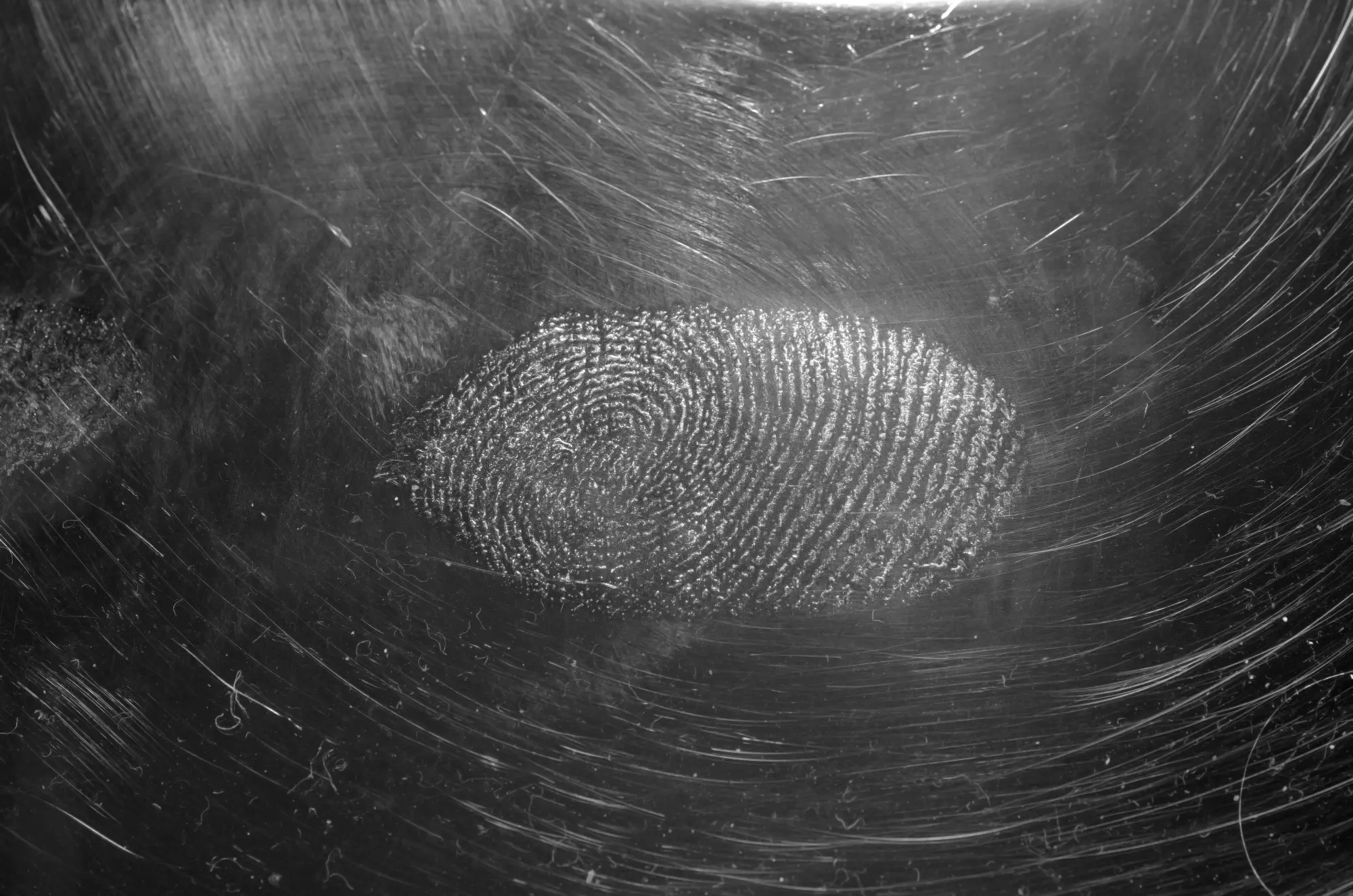 How fingerprints are collected for forensic analysis